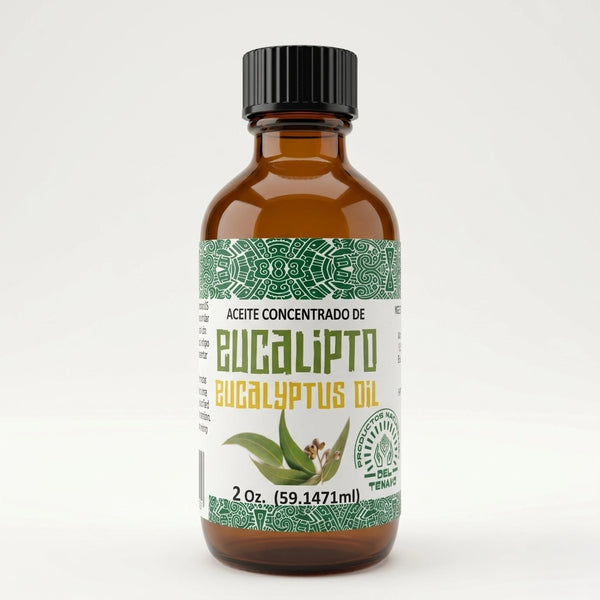 Eucalipto